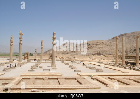 Le colonne del palazzo Apadana, Persepolis, Iran Foto Stock