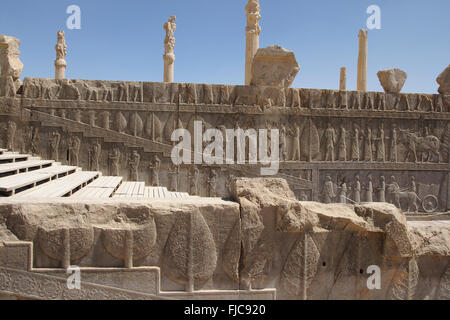 Rilievo sulla scalinata e colonne, Palazzo Apadana, Persepolis, Iran Foto Stock