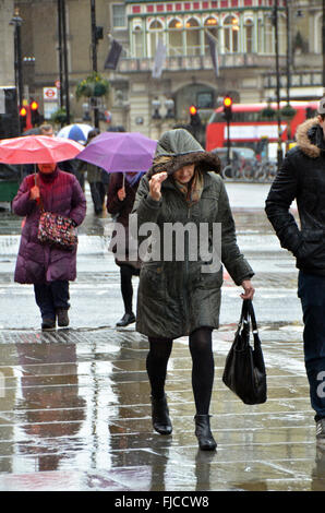 Londra, UK, 1 marzo 2016. Regno Unito Meteo: narcisi e docce il primo giorno di primavera come tempesta Jake approcci. Credito: JOHNNY ARMSTEAD/Alamy Live News Foto Stock