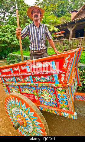 Boyero Cowboy in sella al suo coloful dipinte a mano Sarchi Ox Cart, La Paz Gardens, Costa Rica Foto Stock