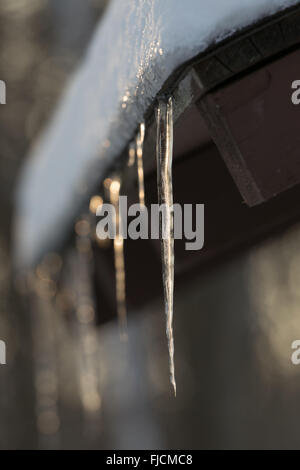 Ghiaccioli sul tetto Foto Stock