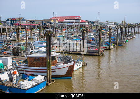 Barche da pesca ormeggiate al molo del villaggio di steveston. Richmond, BC, Canada. Foto Stock