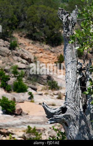 Deadwood Foto Stock