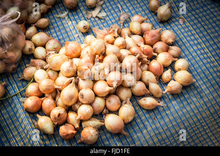 Una foto di cipolla sul tappetino Foto Stock