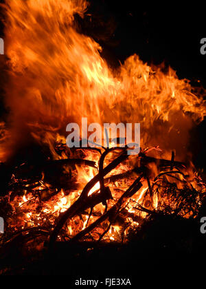 Bushfire bush fire wild fiamme di fuoco ardente fuori controllo Foto Stock