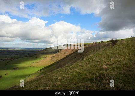 Un panorama del Cavallo Bianco al Westbury, Wiltshire, con un flying overhead di parapendio. Foto Stock