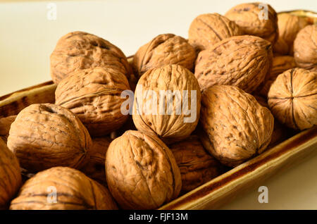 Noci comuni con guscio in un contenitore di porcellana. Foto Stock