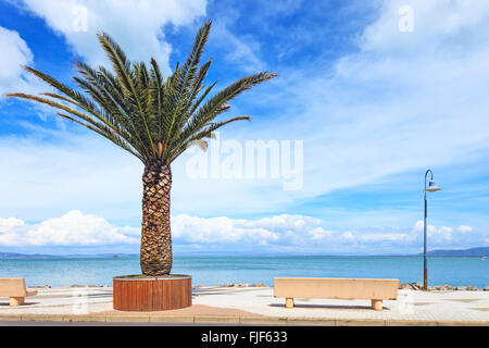 Palm tree, banco e la lampada sul mare in Porto Santo Stefano destinazione di viaggio. Argentario, Toscana, Italia. Foto Stock