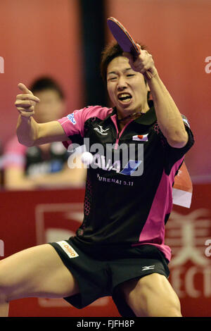 Kuala Lumpur, Malesia. 2 Mar, 2016. Mizutanio Jun del Giappone compete contro Joao del Portogallo Monteiro durante il 2016 World Team Table Tennis Championships di Kuala Lunpur, Malaysia, Marzo 2, 2016. Team Japan ha vinto 3-1. Credito: Chong Voon Chung/Xinhua/Alamy Live News Foto Stock