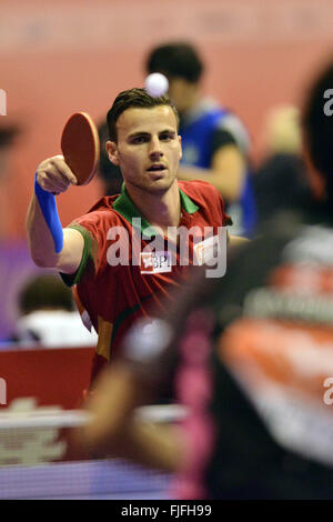 Kuala Lumpur, Malesia. 2 Mar, 2016. Tiago Apolonia del Portogallo compete contro Yoshimura Maharu del Giappone durante il 2016 World Team Table Tennis Championships di Kuala Lunpur, Malaysia, Marzo 2, 2016. Il team del Portogallo ha perso 1-3. Credito: Chong Voon Chung/Xinhua/Alamy Live News Foto Stock