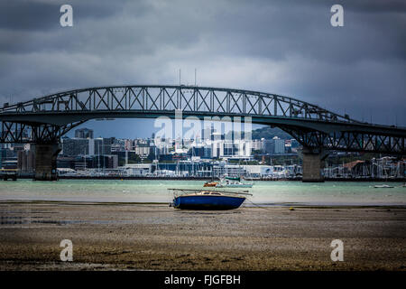 Bassa marea a porto di Auckland Foto Stock