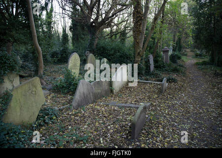 Le lapidi in epoca vittoriana il cimitero di Highgate, Londra del nord in autunno Foto Stock