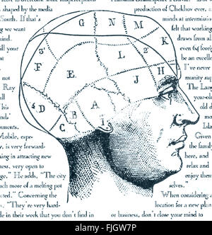 Aree di antico disegno del cervello illustrazione medical phrenology regioni primitivo Foto Stock