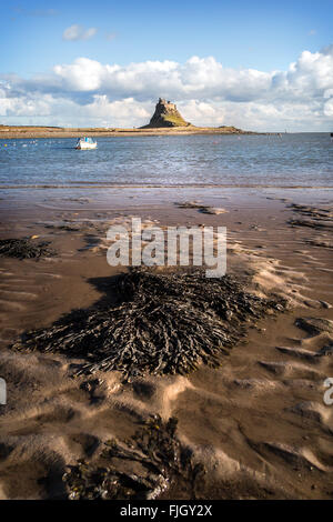 Lindisfarne Castle con spiaggia, Isola Santa, Northumberland, Inghilterra, Regno Unito, GB, l'Europa. Foto Stock