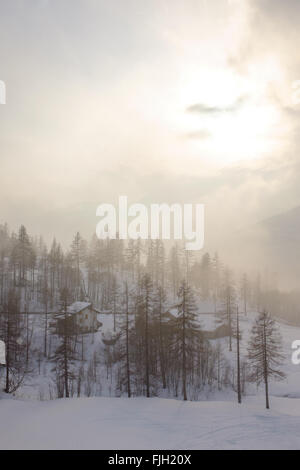 Una casa in montagna innevata forest Foto Stock