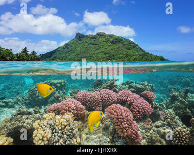 Immagine sdoppiata al di sopra e al di sotto della superficie dell'acqua, paesaggio di Huahine isola con corallo e pesce tropicale subacquea, Polinesia Francese Foto Stock