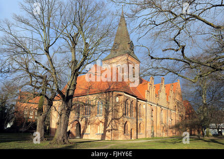 La Chiesa di Santa Caterina (stile gotico) in Salzwedel, Sassonia-Anhalt, Germania Foto Stock