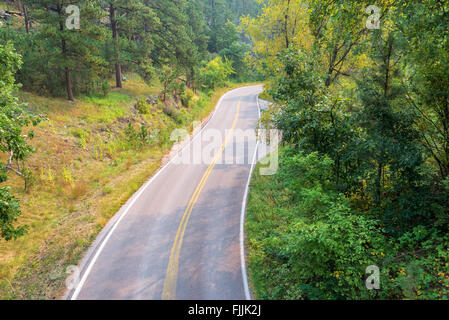 Strada che passa attraverso il Black Hills National Forest in Sud Dakota Foto Stock