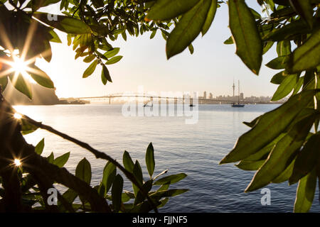 Nuova Zelanda Auckland City skyline con sky tower e Bay Harbour sulla giornata di sole bello mattina. c bridge, edifici, acqua, Nuova Zelanda Foto Stock