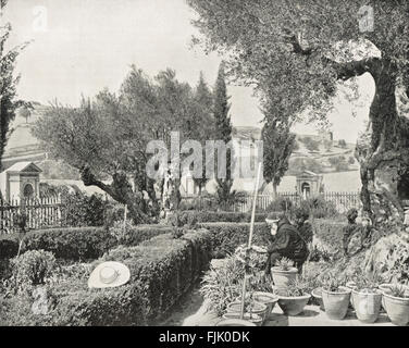 Giardino del Getsemani nel XIX secolo Foto Stock