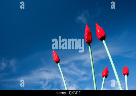 I tulipani in Bastion Square - Victoria, Isola di Vancouver, British Columbia, Canada Foto Stock