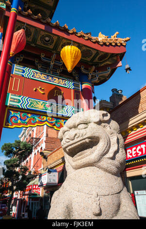 Leone di pietra in Chinatown - Victoria, Isola di Vancouver, British Columbia, Canada Foto Stock