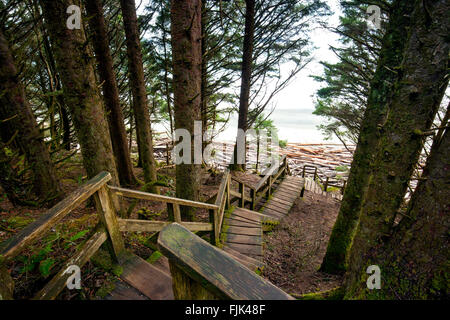 Scala in legno a Florencia Bay (relitto spiaggia) - Pacific Rim National Park - vicino a Tofino, Isola di Vancouver, British Columbia, C Foto Stock