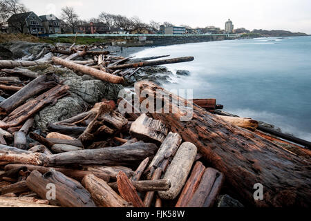 Driftwood sulla spiaggia di Dallas - Victoria, Isola di Vancouver, British Columbia, Canada Foto Stock