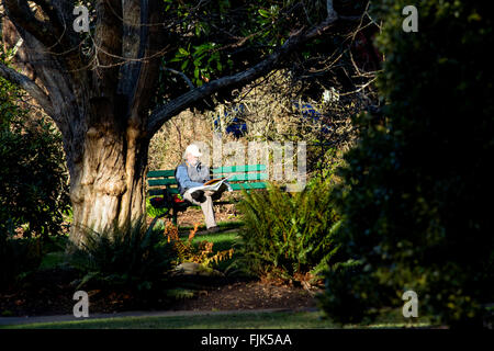 Uomo seduto su un banco di lavoro leggendo il giornale in Beacon Hill Park, Victoria, Isola di Vancouver, British Columbia, Canada Foto Stock