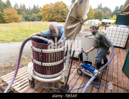 Gli uomini utilizzando un tradizionale vino di legno premere e il tubo flessibile di depressione di sistema in modo da rendere il vino rosso ad un azienda vinicola nello Stato di Washington, USA Foto Stock