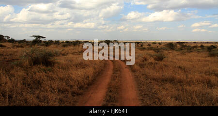 Una strada sterrata Sentiero taglia attraverso il Serengeti, Tanzania Foto Stock