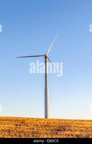 Le turbine eoliche nel campo di grano di generazione rinnovabile sostenibile energia verde di alimentazione, nello Stato di Washington, Stati Uniti Foto Stock