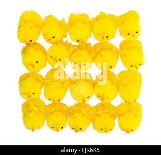 Abbondanza di pasqua pulcini, vista dall'alto, isolato Foto Stock