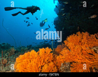 Subacquei esplorare una barriera corallina