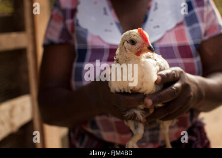 L'agricoltore che detiene un giovane pollo, Tanzania. Foto Stock