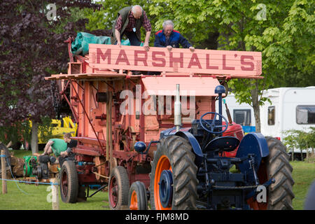 Le scene della Contea di Devon show. Foto Stock