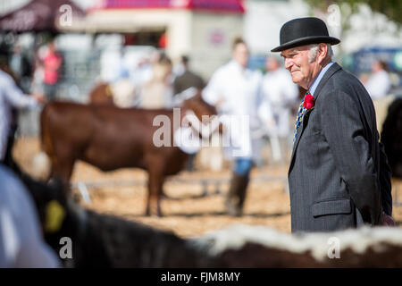 Le scene della Contea di Devon show. Foto Stock
