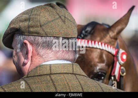 Le scene della Contea di Devon show. Foto Stock