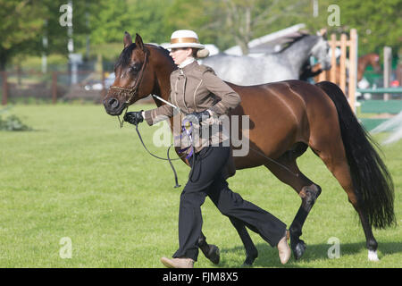 Le scene della Contea di Devon show. Foto Stock