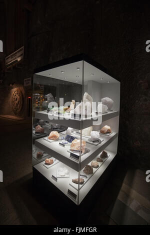 L'Europa, Polonia, le Miniere di Sale di Wieliczka, sale rocce, minerali, cristalli presenta Foto Stock