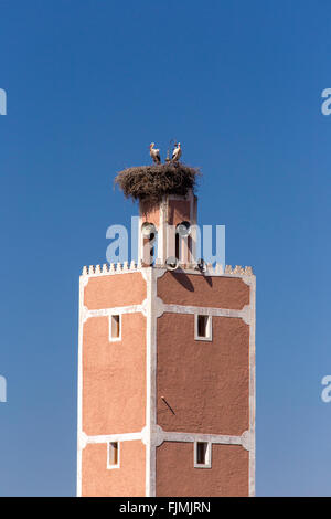 Minareto rosa con nido di cicogne Foto Stock