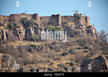 Ranthambore Fort nel Parco nazionale di Ranthambore, India. Foto Stock