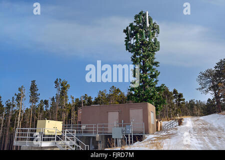 Torre cellulare dissimulata come un albero Foto Stock