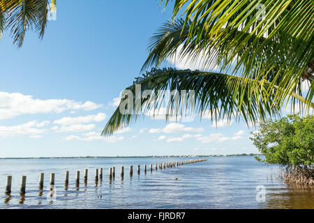 Edison Pier nel fiume Caloosahatchee e palme in Fort Myers, Florida, Stati Uniti d'America Foto Stock