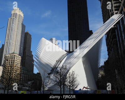 New York, Stati Uniti d'America. 01 Mar, 2016. Vista esterna dell'occhio stazione ferroviaria progettata dall'architetto spagnolo Santiago Calatrava presso il World Trade Center a New York, USA, 01 marzo 2016. Foto: Johannes Schmitt-Tegge/dpa/Alamy Live News Foto Stock