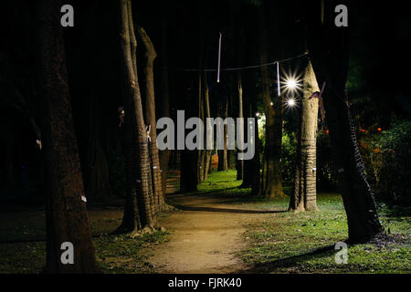 Alberi lungo un percorso di notte, Da' un parco, in Taipei, Taiwan. Foto Stock