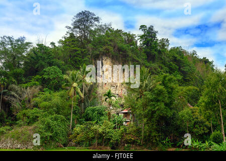 Suaya scogliere è vecchio luogo di sepoltura della famiglia reale di Sangalla in Tana Toraja. Le gallerie di tau-tau guardia dei sepolcri. Sud sul Foto Stock