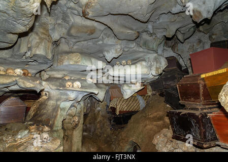 Teschi e bare in grotta. Londa è scogliere e grotta vecchio luogo di sepoltura di Tana Toraja. Le gallerie di tau-tau sul balcone a guardia della g Foto Stock