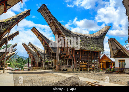 Tongkonan case tradizionali nel villaggio di Palava. Tana Toraja, Sulawesi. Indonesia Foto Stock