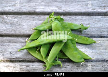 Appena raccolto piselli verdi nel pod su un tavolo di legno Foto Stock